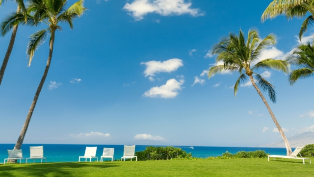 美高梅：园林绿化树木栽植步骤