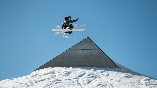 美高梅：园林绿化赤楠有用吗