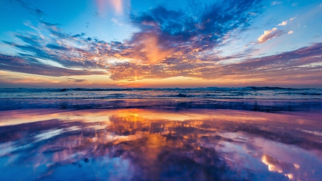 园林绿化苗木造型