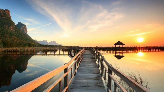 美高梅：园林绿化用多少肥料