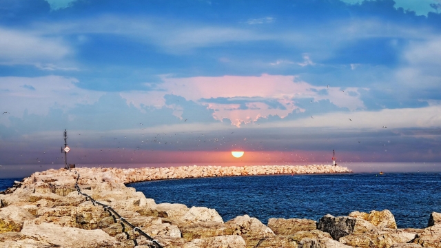 园林绿化土来源