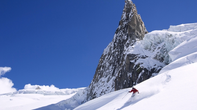 美高梅：园林绿化景观花卉绿植