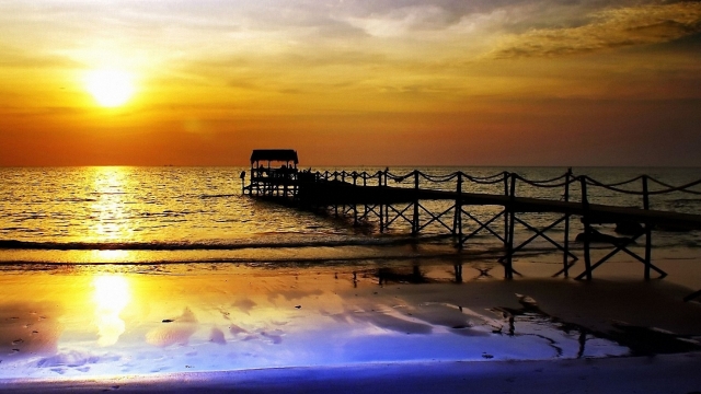 美高梅公司：园林绿化常用农药肥料