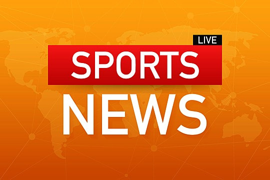 美高梅集团：园林绿化苗木紫荆花