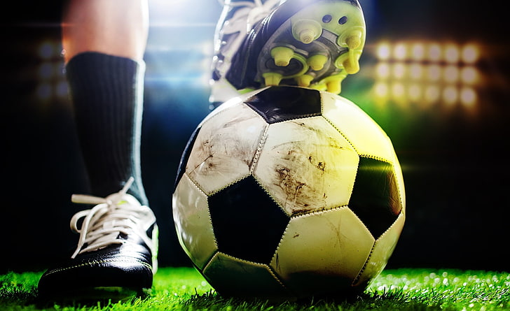 MGM：园林绿化地爬藤植物