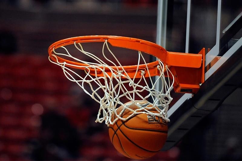 美高梅：园林绿化选苗木